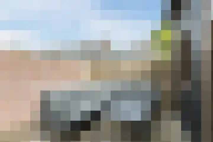 Leibeemd 146 Rijen thumbnail 20