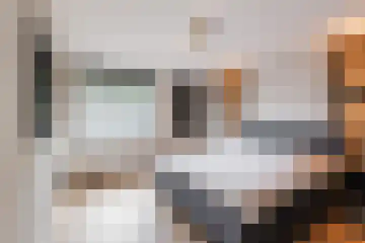 Leibeemd 146 Rijen thumbnail 29