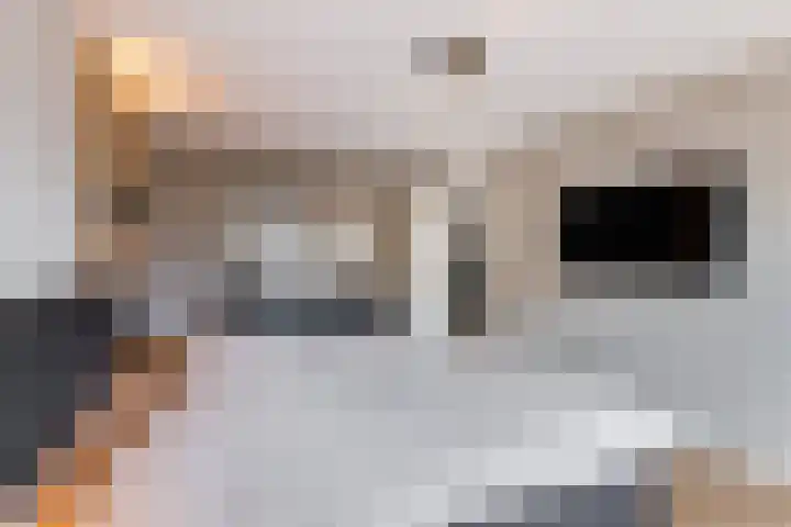 Leibeemd 146 Rijen thumbnail 31