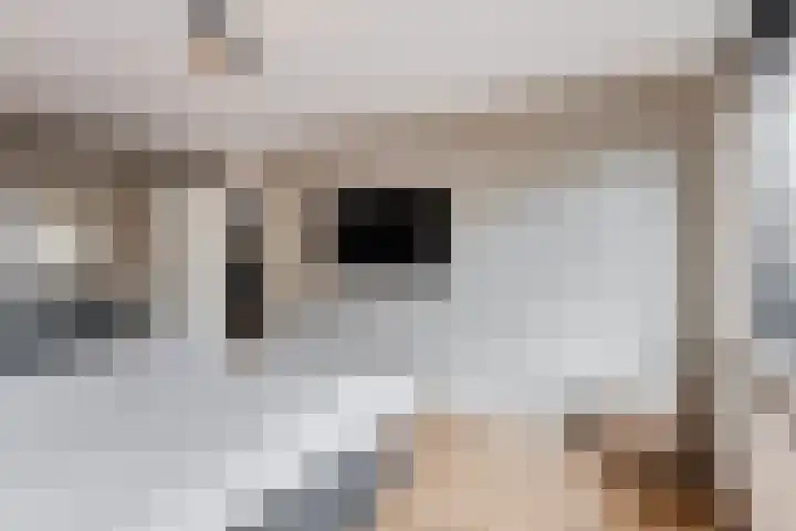 Leibeemd 146 Rijen thumbnail 32