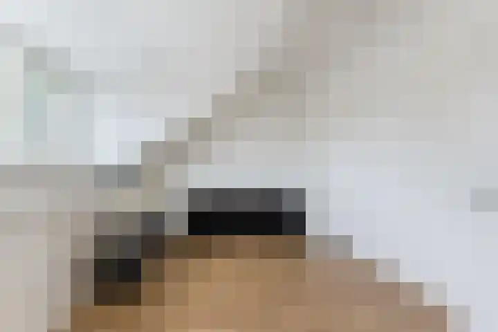 Leibeemd 146 Rijen thumbnail 40