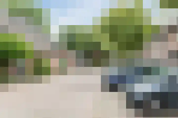 Leibeemd 146 Rijen thumbnail 44