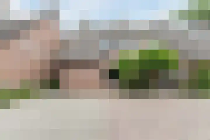 Leibeemd 146 Rijen thumbnail 49