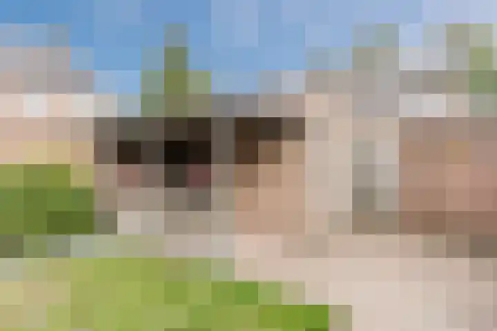 Leibeemd 54 Rijen thumbnail 18