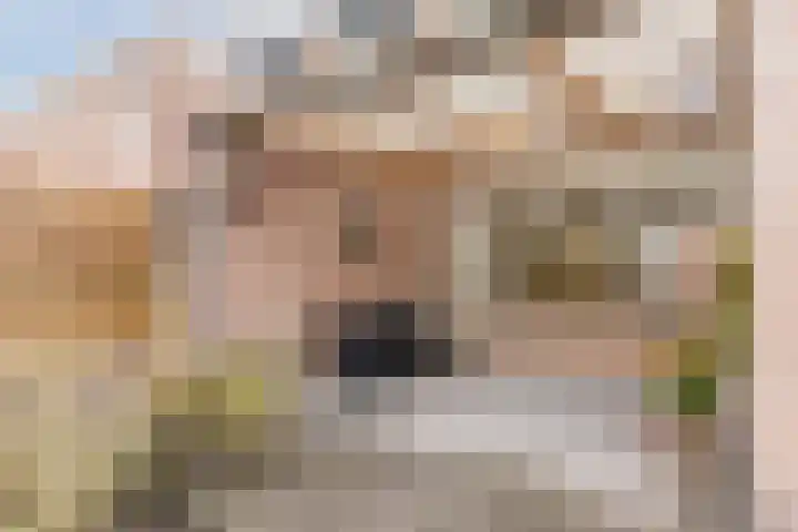 Leibeemd 54 Rijen thumbnail 19