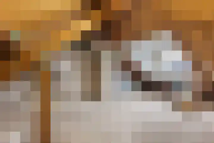 Leibeemd 54 Rijen thumbnail 28