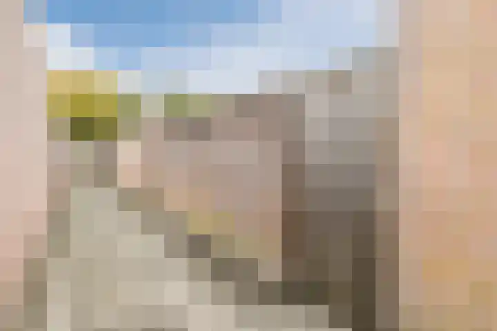 Leibeemd 54 Rijen thumbnail 30