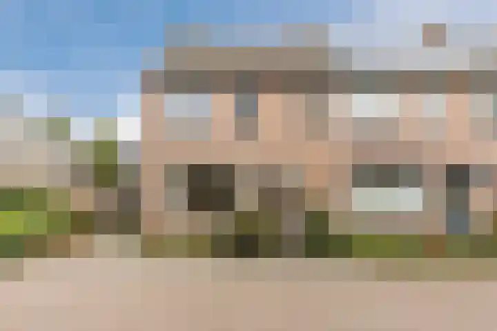 Leibeemd 54 Rijen thumbnail 38