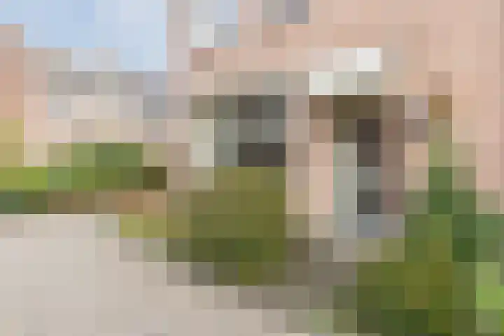 Leibeemd 54 Rijen thumbnail 39