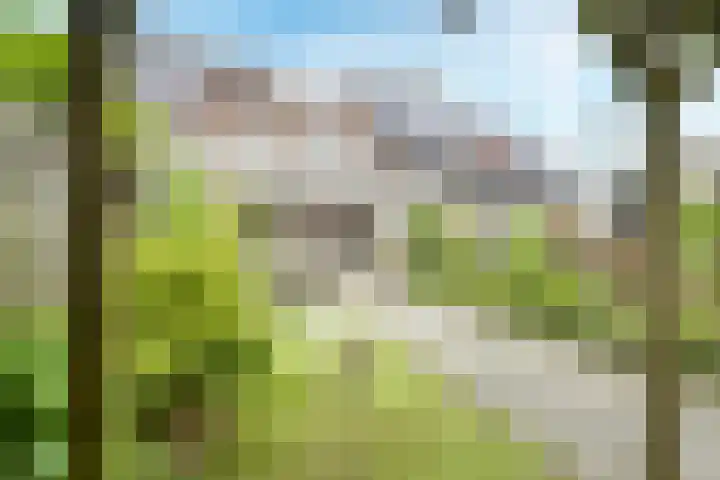 Leidekkersgilde 29 Houten thumbnail 11