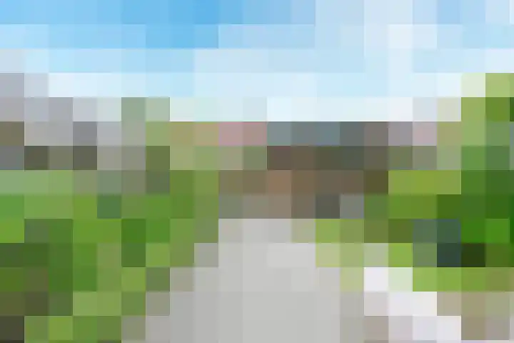 Leidekkersgilde 29 Houten thumbnail 12