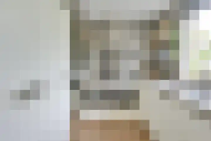 Leidekkersgilde 29 Houten thumbnail 15