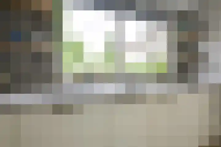 Leidekkersgilde 29 Houten thumbnail 16