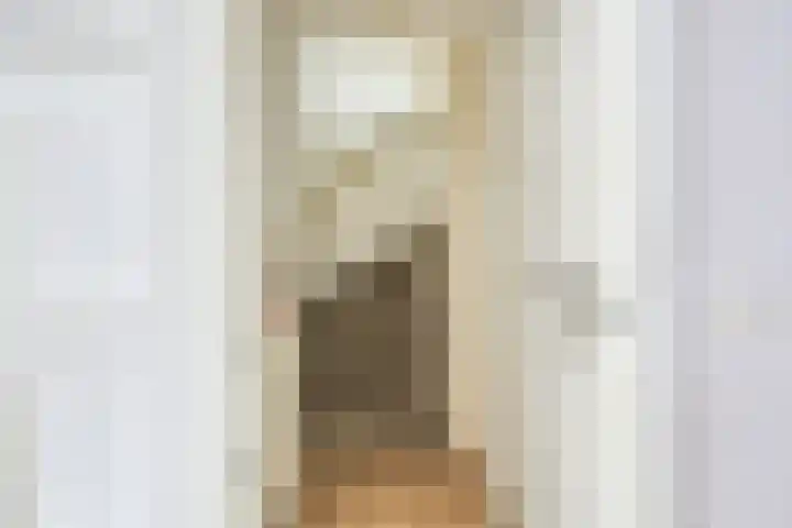 Leidekkersgilde 29 Houten thumbnail 17