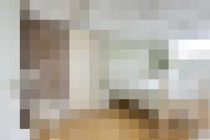 Leidekkersgilde 29 Houten thumbnail 18