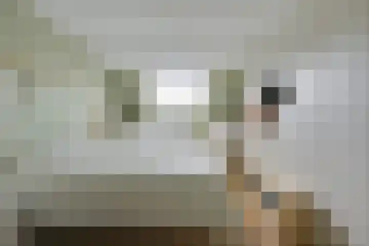 Leidekkersgilde 29 Houten thumbnail 19