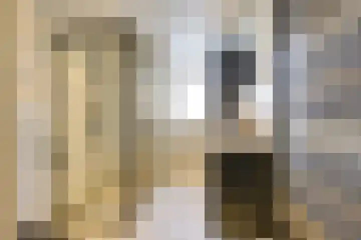 Leidekkersgilde 29 Houten thumbnail 21