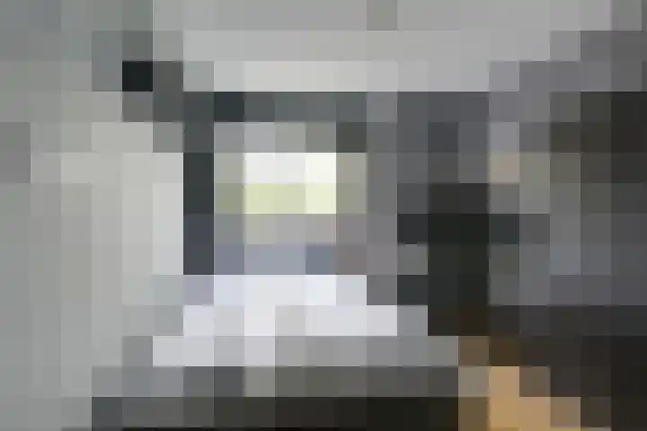 Leidekkersgilde 29 Houten thumbnail 29