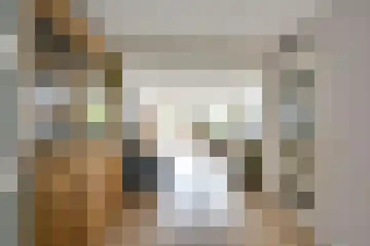 Leidekkersgilde 29 Houten foto 3