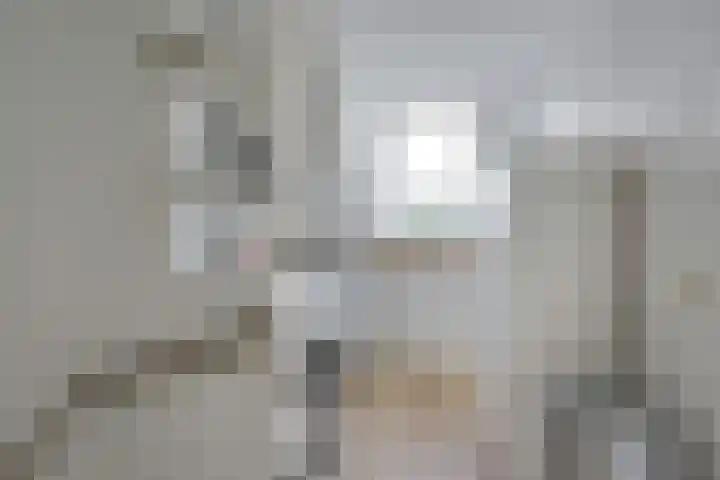 Leidekkersgilde 29 Houten thumbnail 31