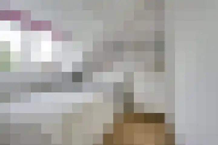 Leidekkersgilde 29 Houten thumbnail 35
