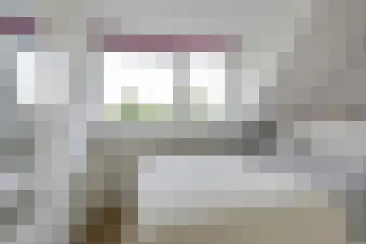 Leidekkersgilde 29 Houten thumbnail 36