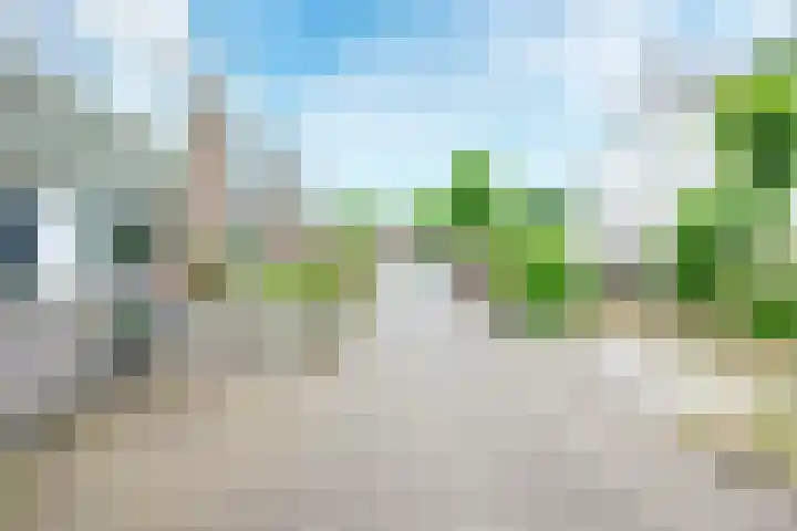 Leidekkersgilde 29 Houten thumbnail 38