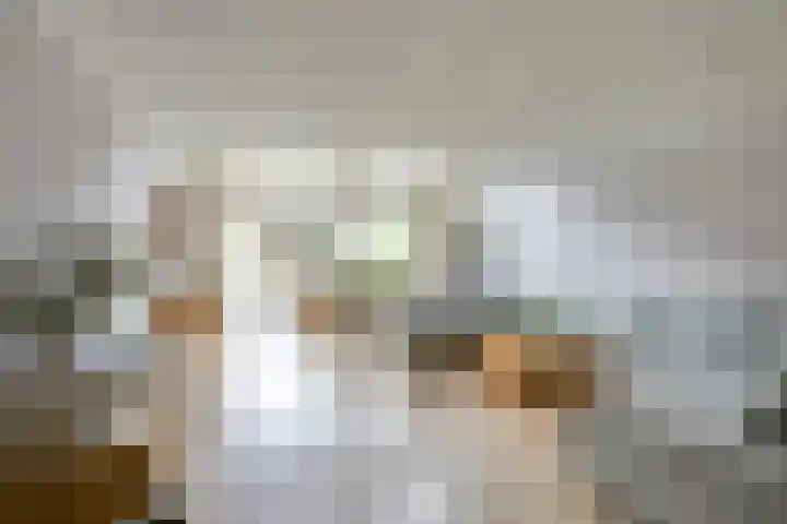 Leidekkersgilde 29 Houten thumbnail 4