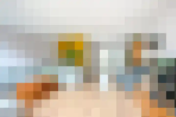 Leidekkersgilde 29 Houten thumbnail 5