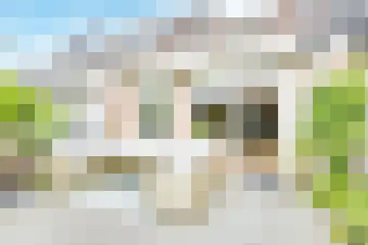 Leidekkersgilde 29 Houten thumbnail 8
