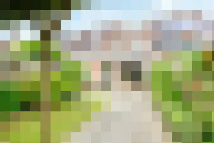 Leidekkersgilde 29 Houten thumbnail 9
