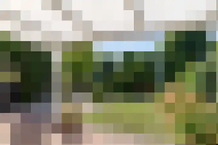 Leidekkersstraat 16 Veendam thumbnail 30