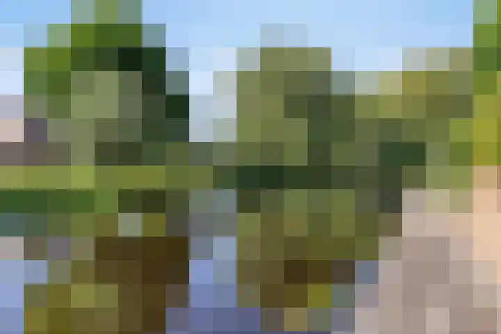 Leidekkersstraat 16 Veendam thumbnail 37