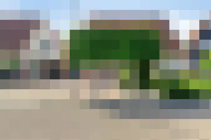Leidekkersstraat 16 Veendam thumbnail 4