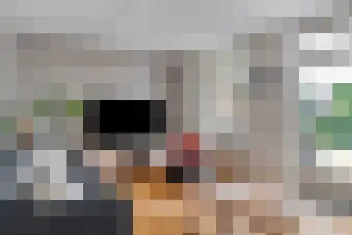 Leidekkersstraat 16 Veendam thumbnail 9