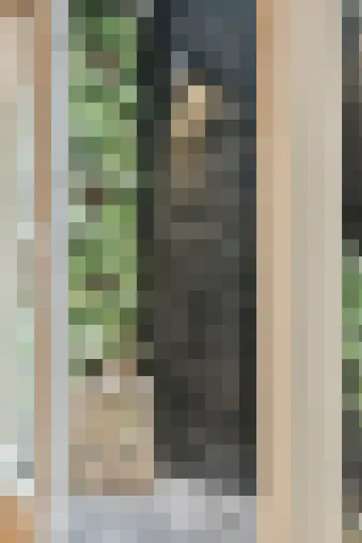 Leidenweg 4 Arnhem thumbnail 26