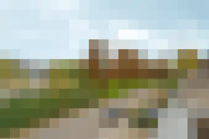Leidenweg 4 Arnhem thumbnail 35