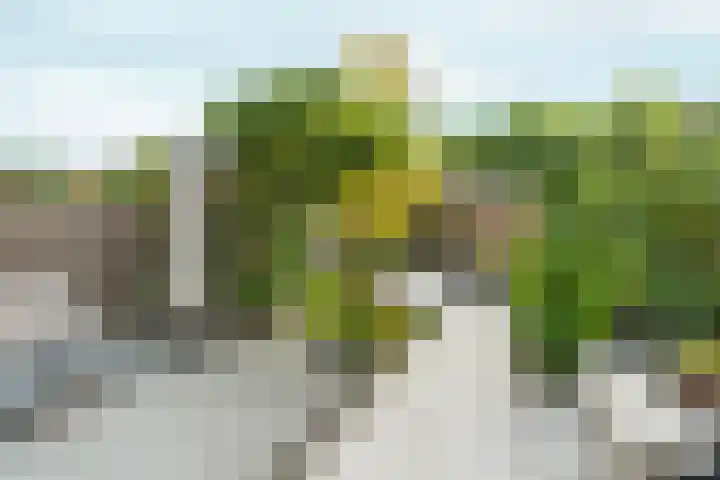 Leidenweg 4 Arnhem thumbnail 36
