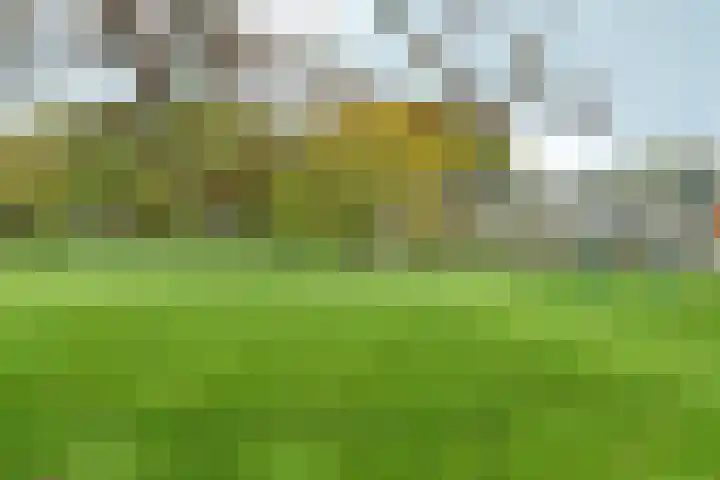 Leidenweg 4 Arnhem thumbnail 43