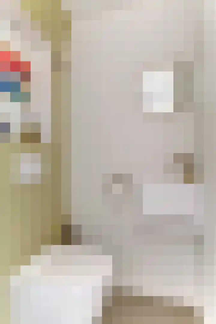 Leidijk 121 Bemmel thumbnail 11
