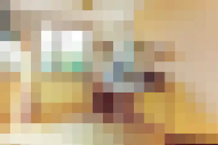 Leidijk 121 Bemmel thumbnail 17