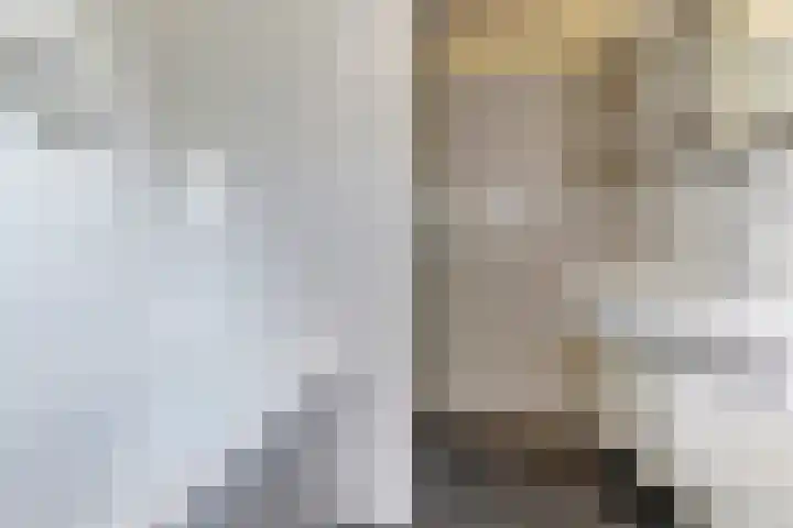 Leidijk 121 Bemmel thumbnail 20