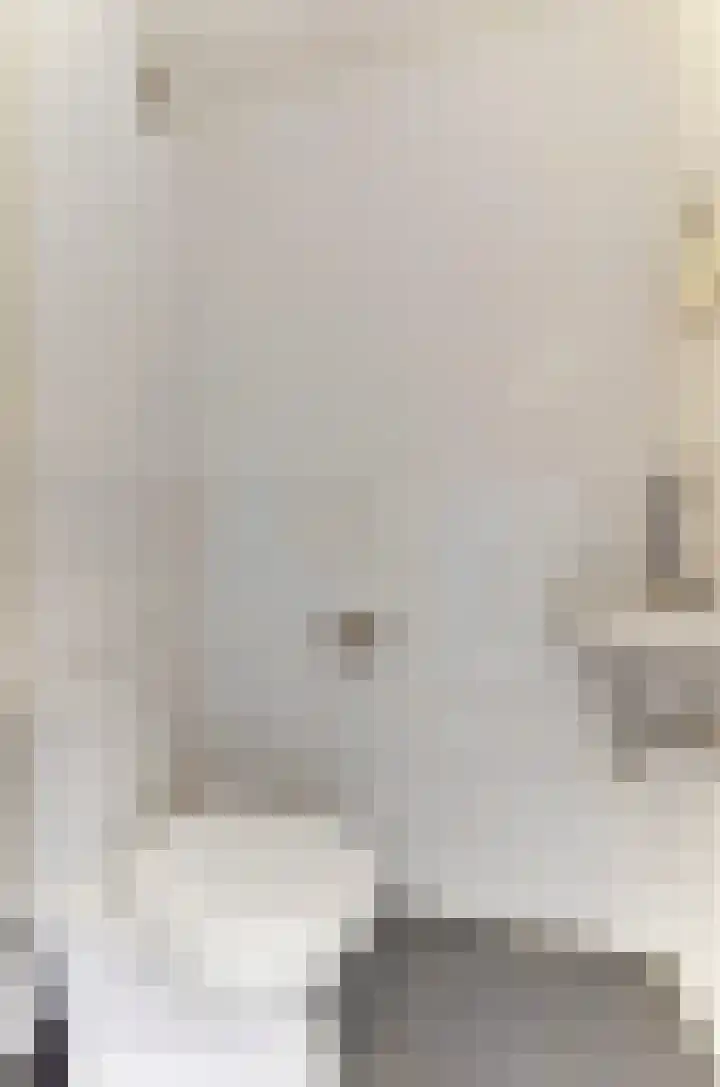Leidijk 121 Bemmel thumbnail 22