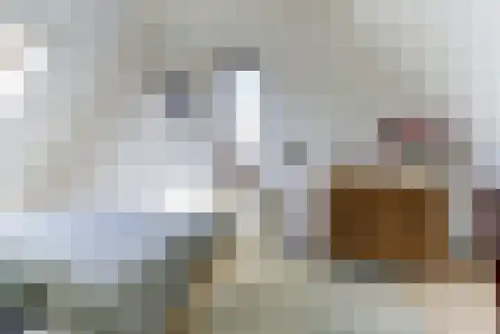 Leidijk 121 Bemmel thumbnail 23