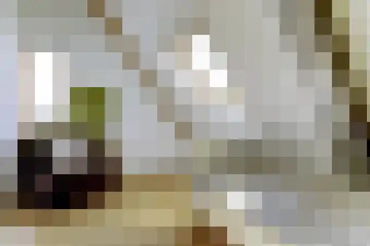 Leidijk 121 Bemmel thumbnail 26