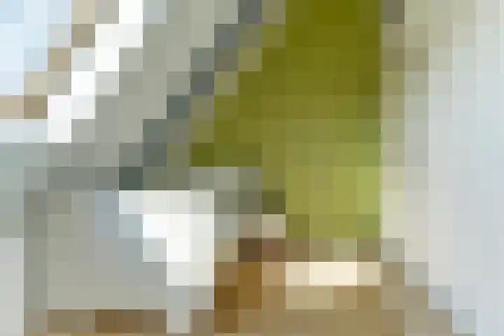 Leidijk 121 Bemmel thumbnail 27