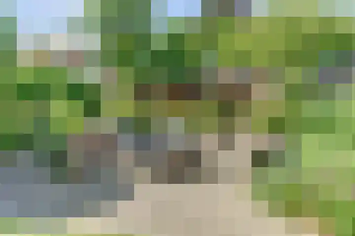Leidijk 121 Bemmel thumbnail 31