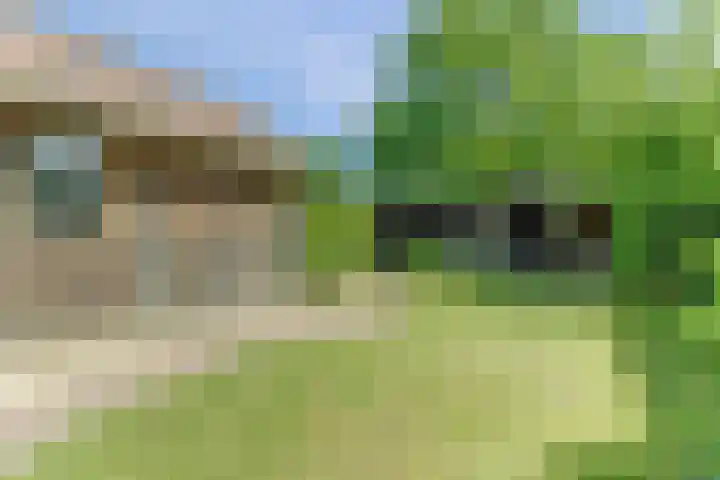 Leidijk 121 Bemmel thumbnail 32