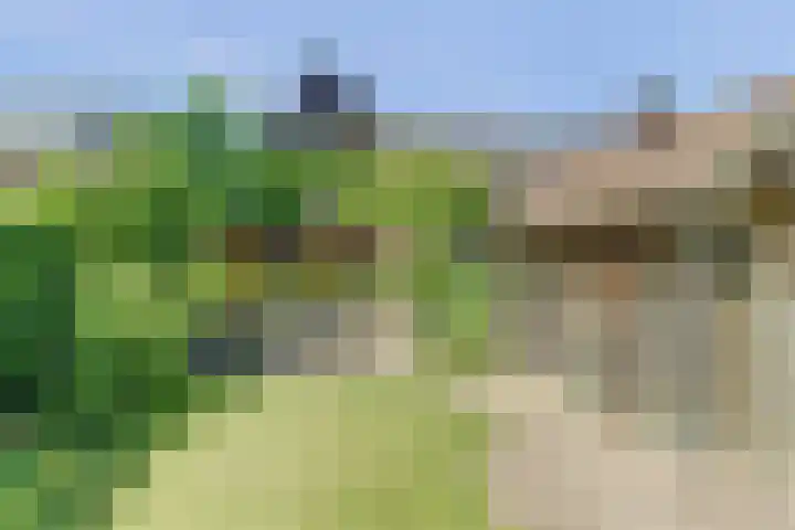 Leidijk 121 Bemmel thumbnail 33
