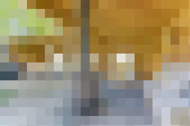 Leidijk 121 Bemmel thumbnail 35